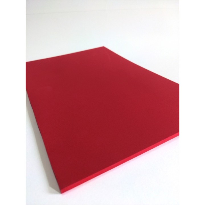 CAREFOAM310